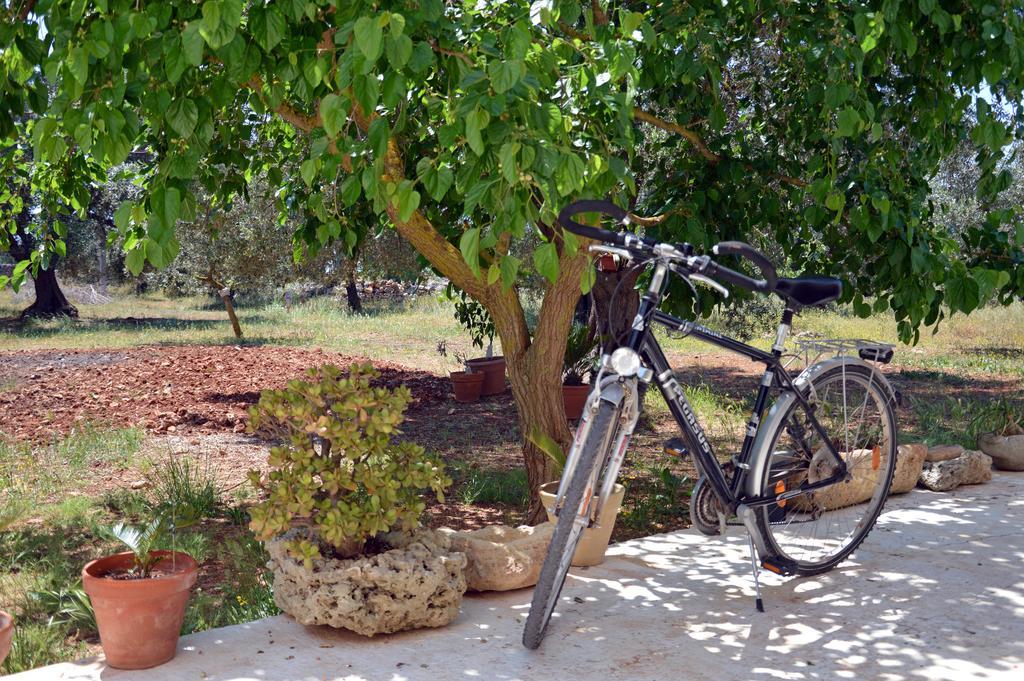 Agriturismo Tenuta Del Morige Галатоне Екстериор снимка
