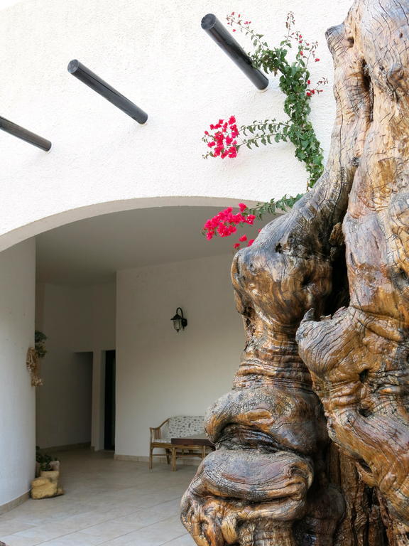 Agriturismo Tenuta Del Morige Галатоне Стая снимка